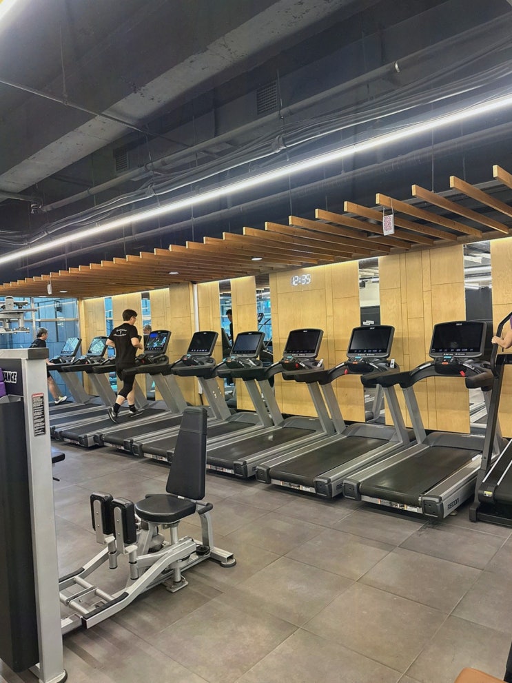  체지방 감량을 위한 최고의 선택, 강남구청 헬스장, 에프엘짐 강남구청점