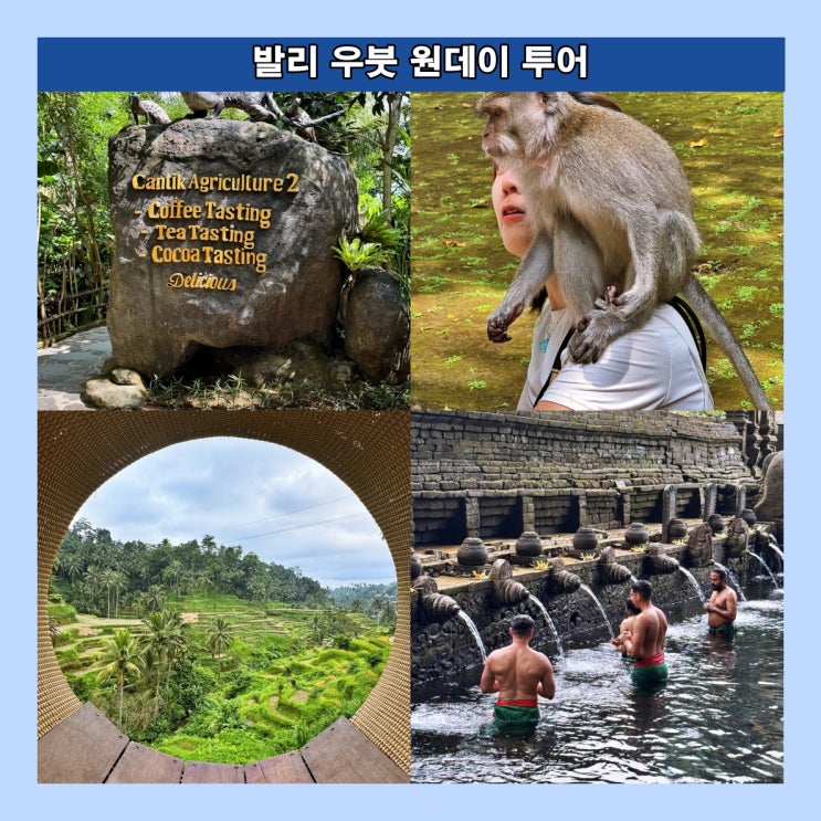  발리 우붓 원데이 투어 : 투어코스, 투어상품, 이용후기, 소요시간, 총비용