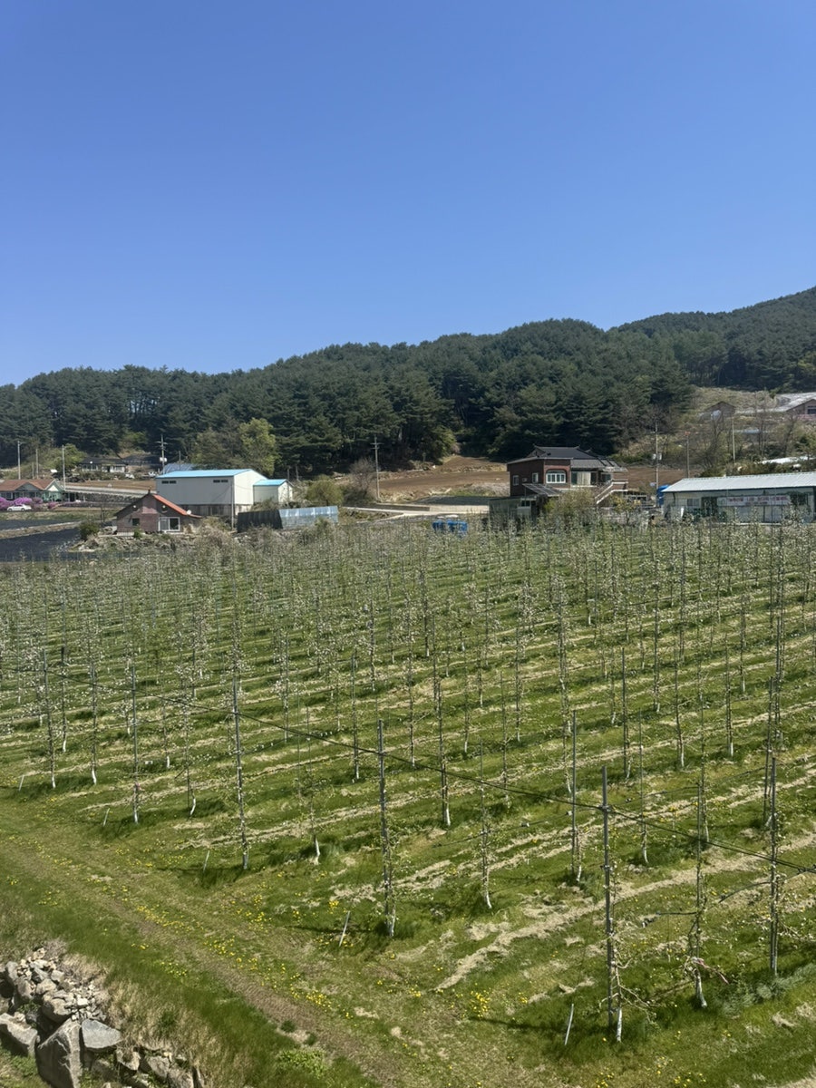 사과창고 사진 5