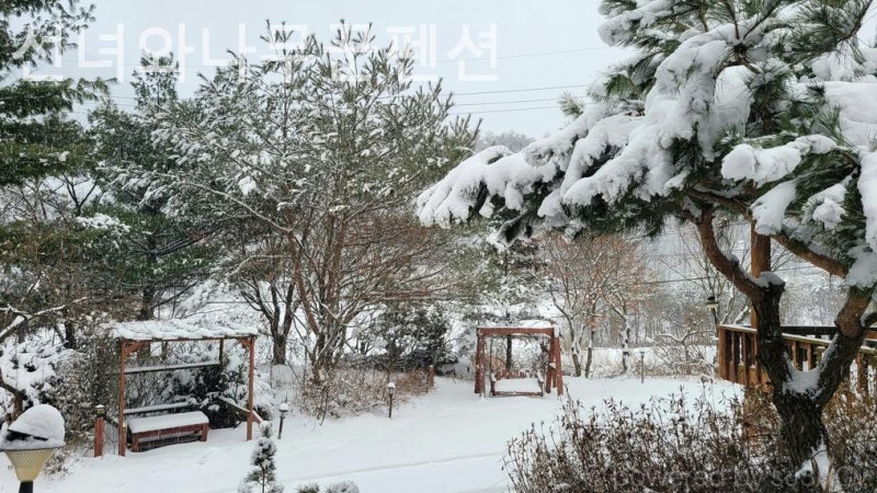 사진 2