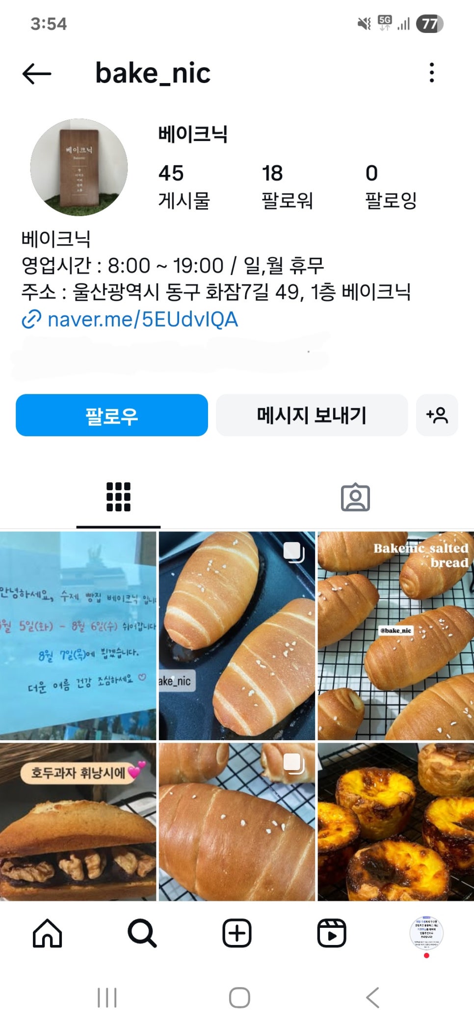 베이크닉 사진 1
