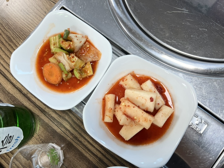 알미두메가든 사진 3