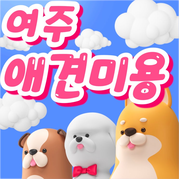  여주애견미용학원 국비보다 간편하게 신청 가능한 교육지원