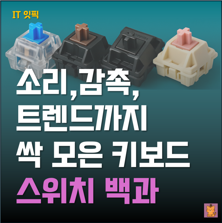  타건의 끝판왕! 소리·감촉·트렌드까지 싹 모은 기계식 키보드 스위치 백과