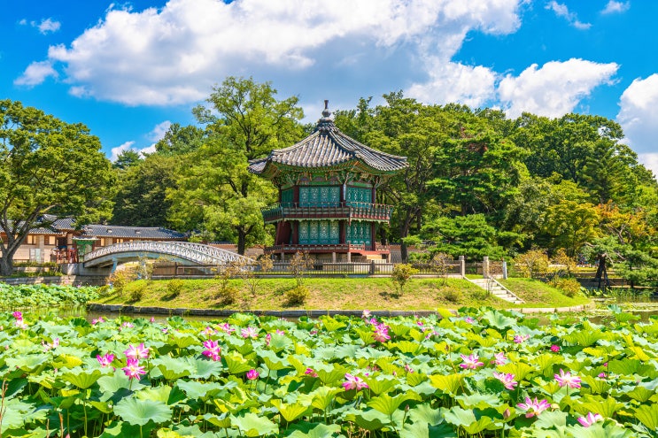  「경복궁, 여름이었다.」