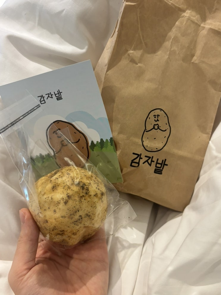  부산 롯데백화점 팝업 춘천 포테이투어 다녀왔어요 :D