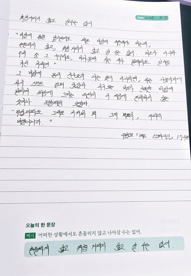  [오늘의필사] 흔들리지 않고 휘청거리지 않고 날수는 없어