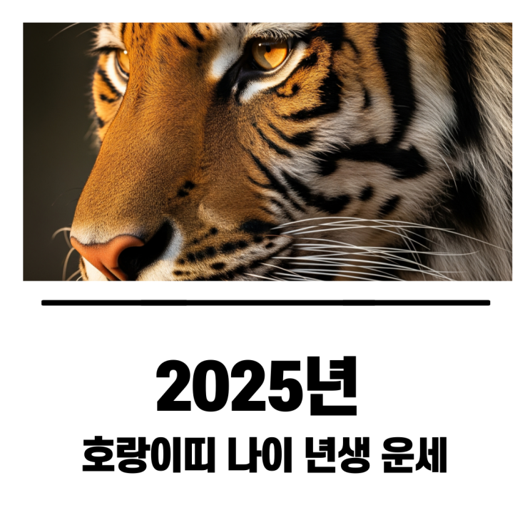  2025년 호랑이띠 나이 년생 운세와 삼재 여부