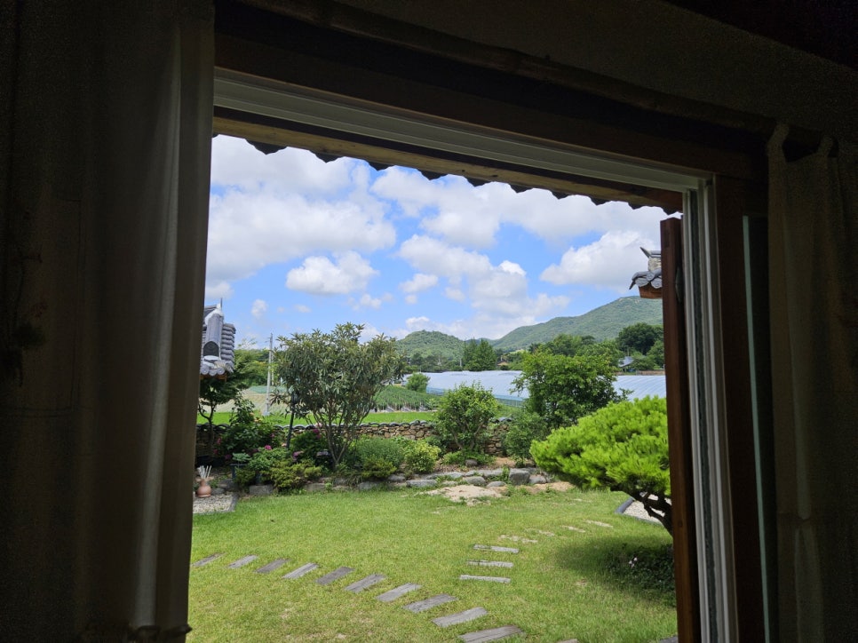 별바라기 사진 6