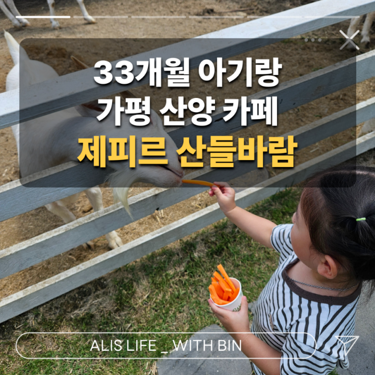 33개월 아이와 가평 카페 - 산양 먹이주기 체험이 가능한 대형카페 제피르 산들바람 가평관광농원 내돈내산 후기