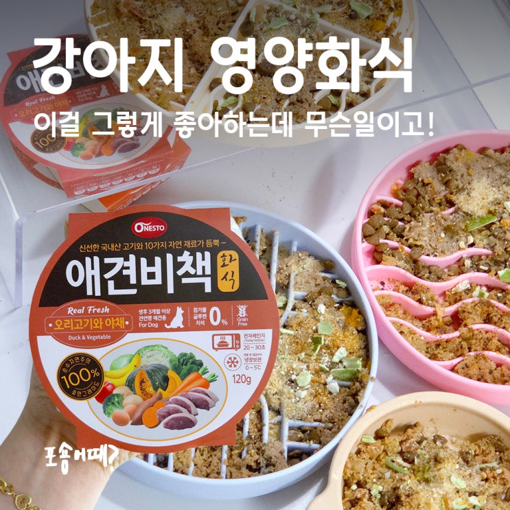  강아지영양식 고민끝! 애견비책 화식으로 다견 숑숑이들 식단 챙기기 성공