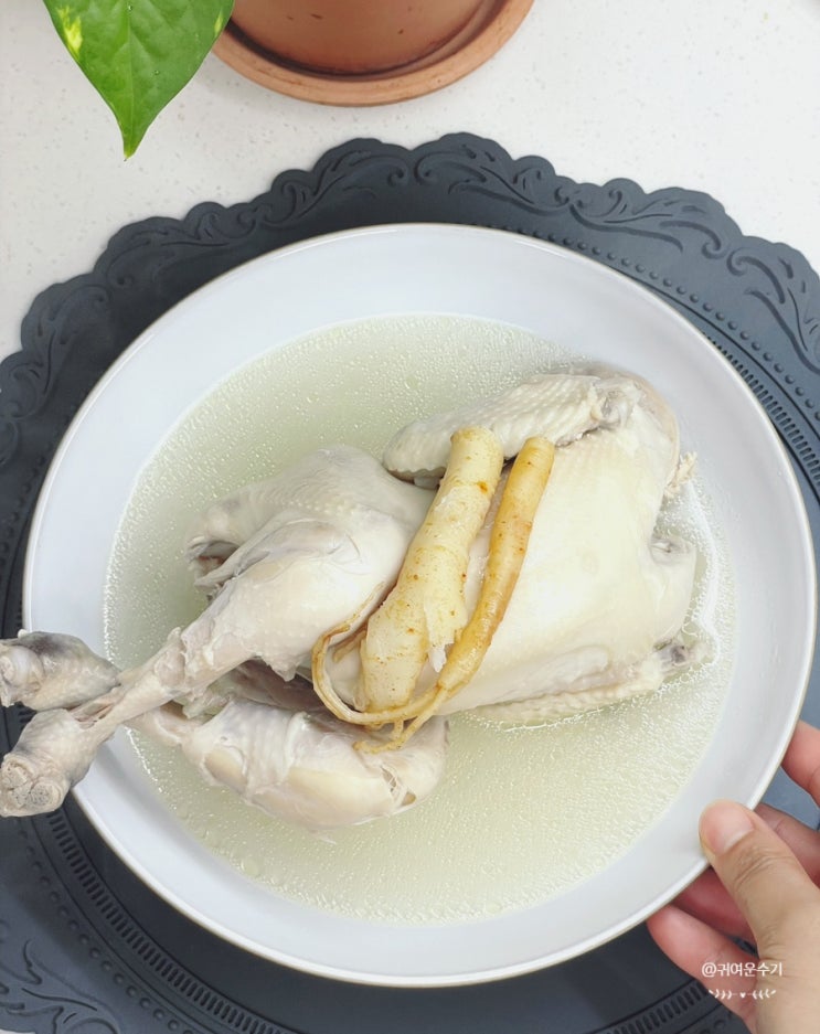  삼계탕 끓이기 집에서 냄비 인삼삼계탕 레시피 말복음식 여름철 보양식 끓이는방법