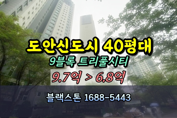  도안신도시9BL트리풀시티 경매 44A평 저층