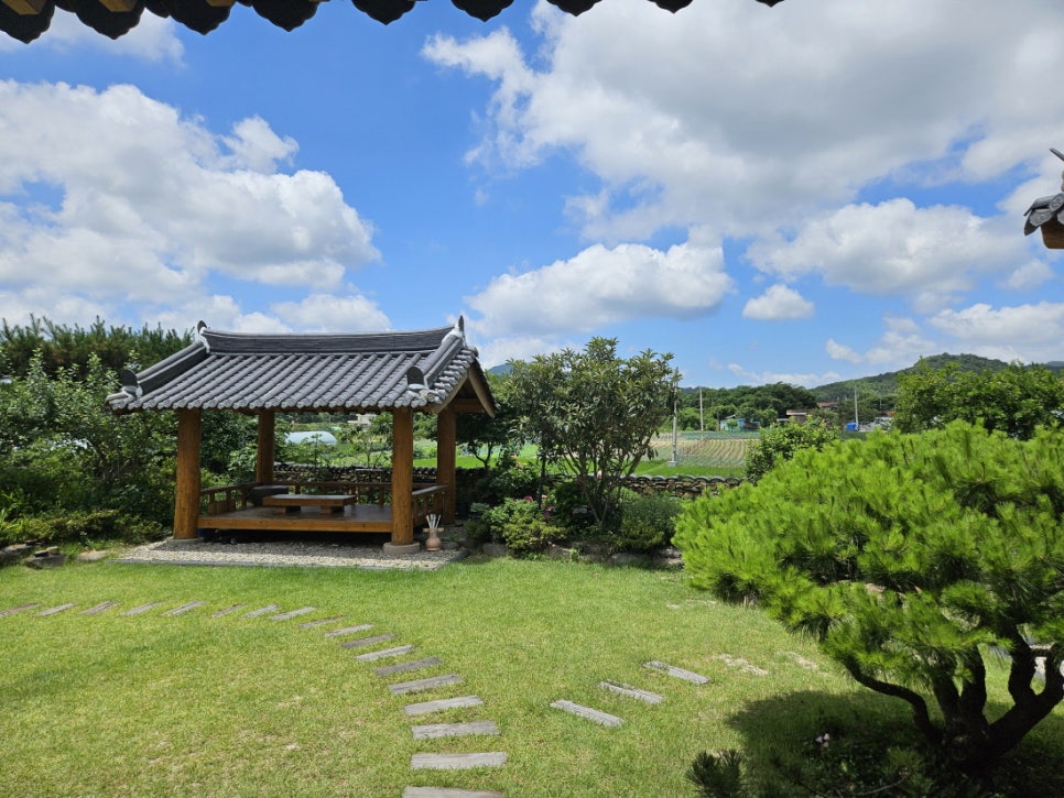 별바라기 사진 1