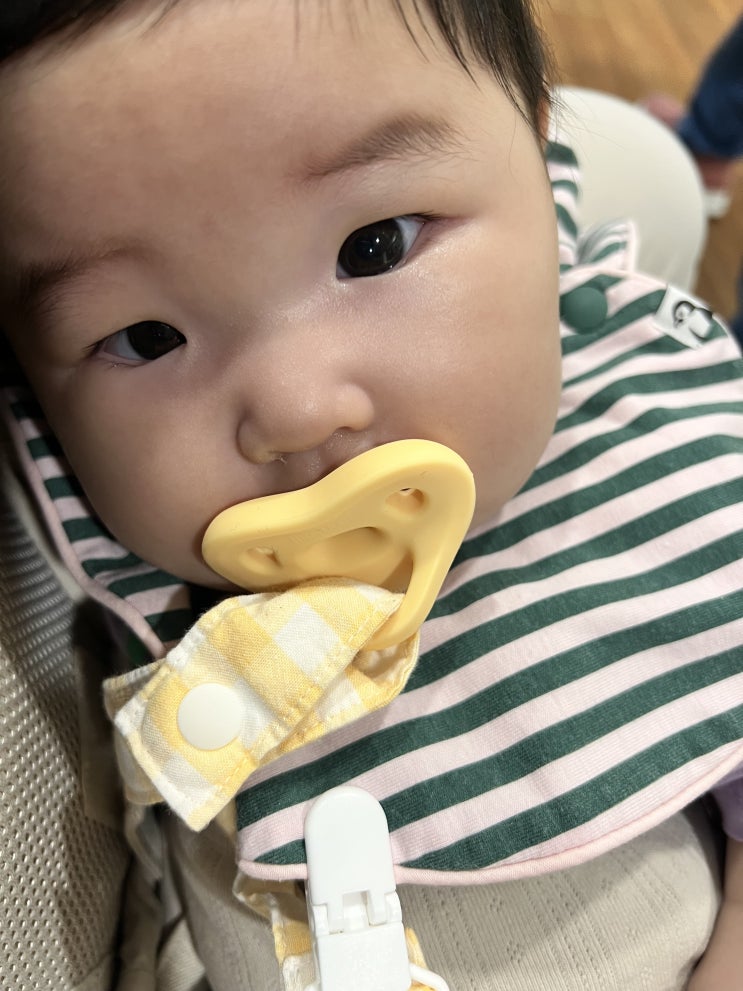  육아일기_둥이 여행, 병원, 현실 일상 ~ 25년 5월 말까지 일상
