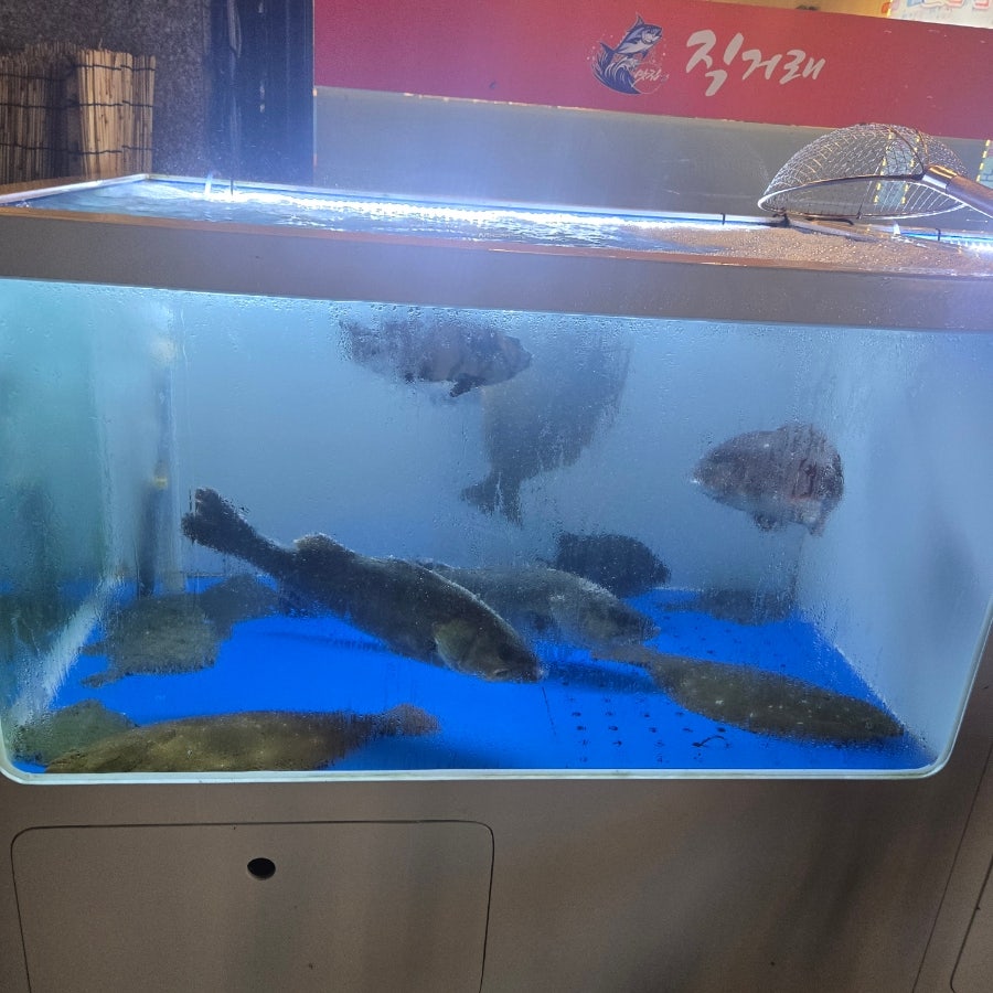 직거래회수산 사진 4