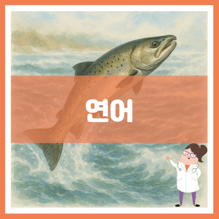  연어 효능 영양성분 부작용