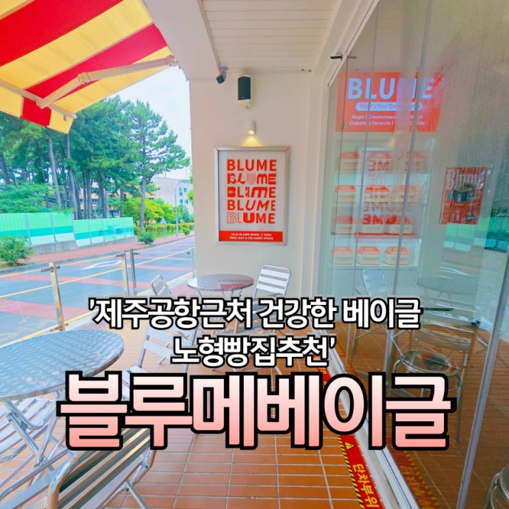  제주공항근처 건강한 베이글 노형빵집추천 블루메베이글 노형점