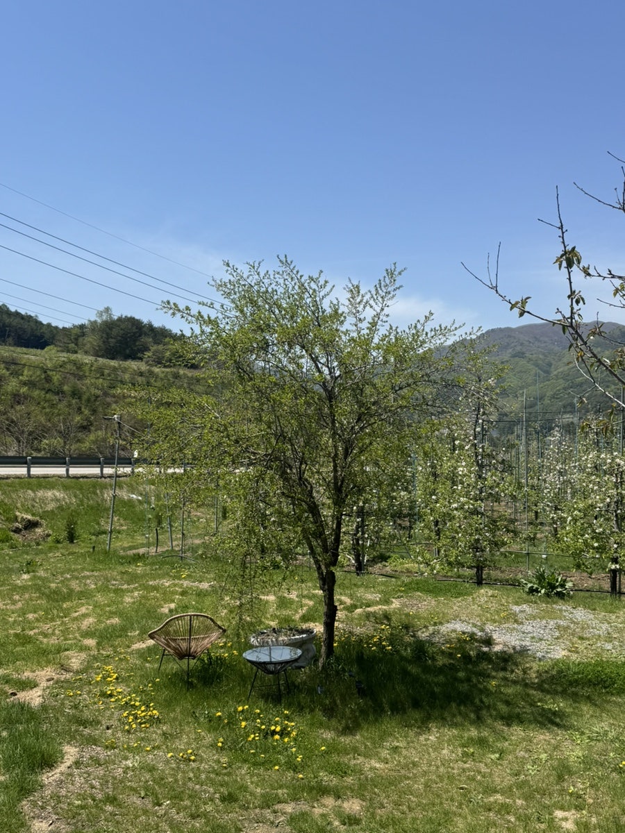 사과창고 사진 4