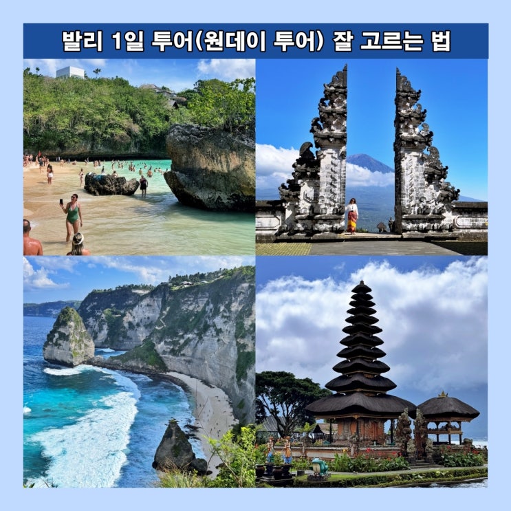  발리 1일 투어 (원데이 투어) 상품 잘 고르는 법