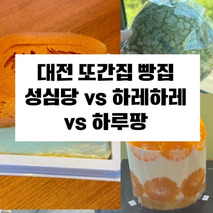  대전 또간집 빵집 전격 비교 성심당 하레하레 하루팡
