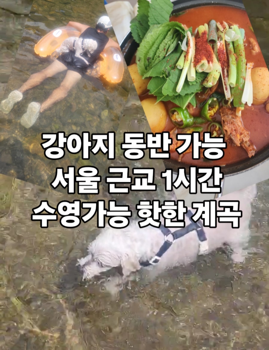 청산유수가든 사진 1