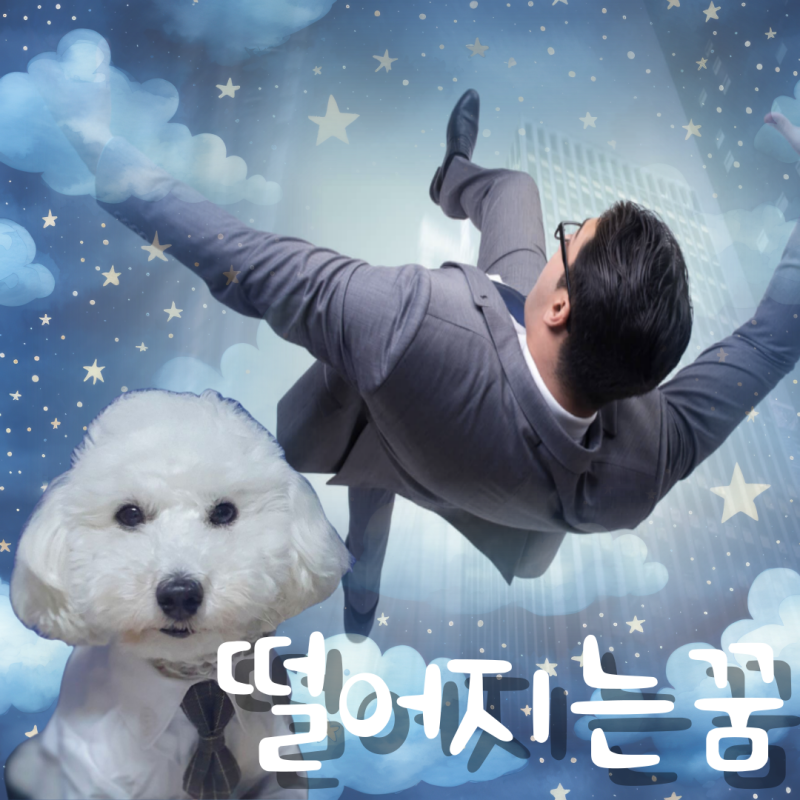 사람 떨어지는 꿈 해몽 (건물에서 옥상에서 높은데서)