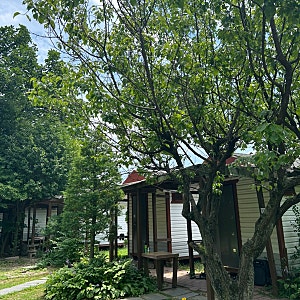 한티고을 : 대구 팔공산 누룽지 백숙