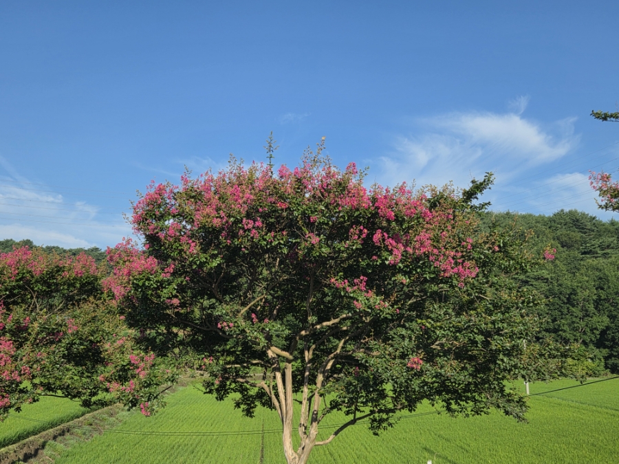 귀거래향 사진 6