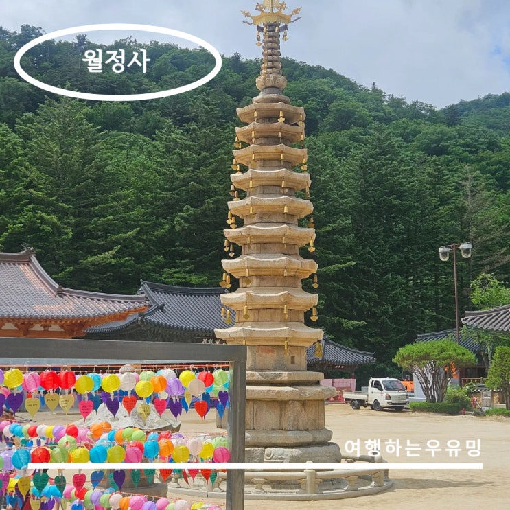  월정사 숲길 따라 걷는 사찰 여행, 아이와 함께한 평창 가볼만한 곳