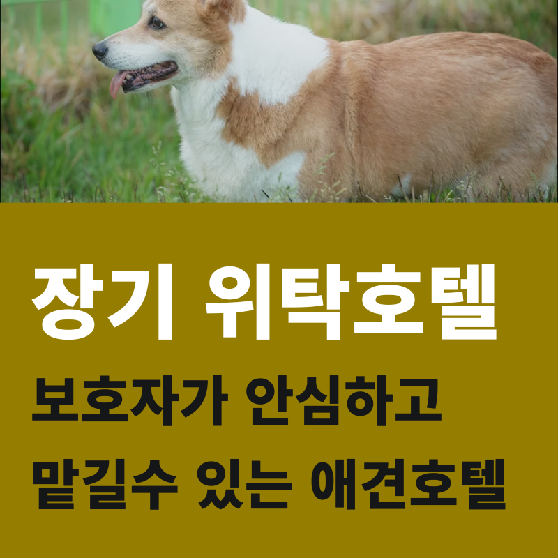 사진 6
