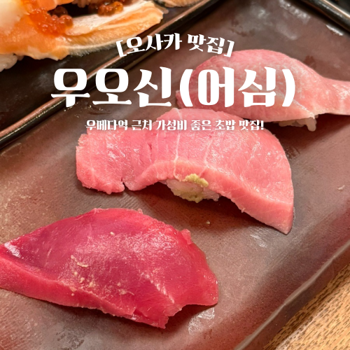  오사카 우메다 초밥 맛집 우오신 어심 가성비 좋은 곳