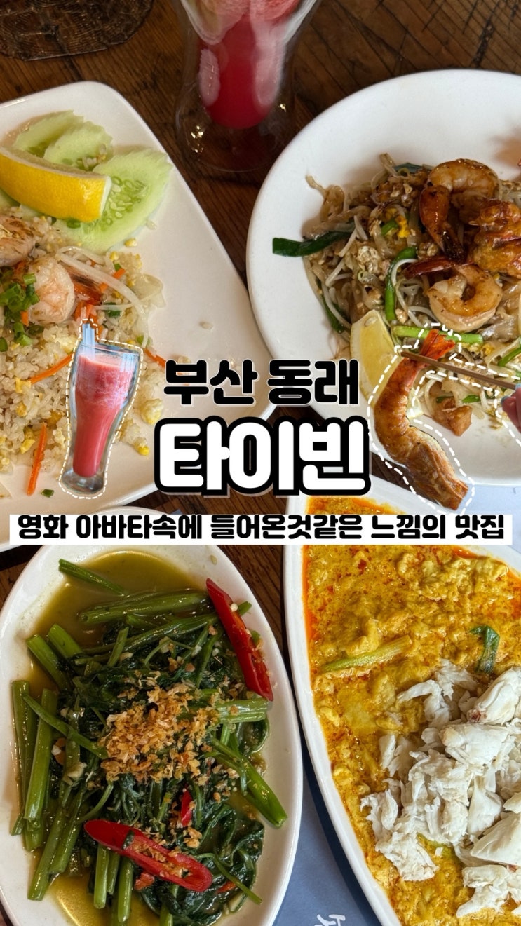  영화 아바타 속으로 들어간듯한 분위기의 부산 이색맛집 내돈내산 솔직후기 타이빈