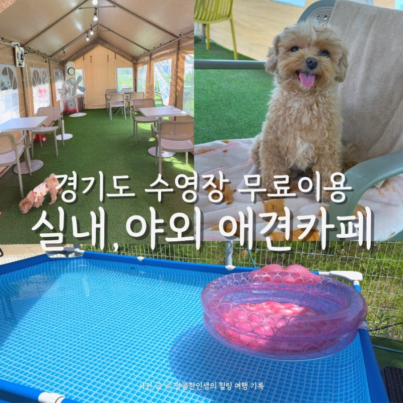 사진 6