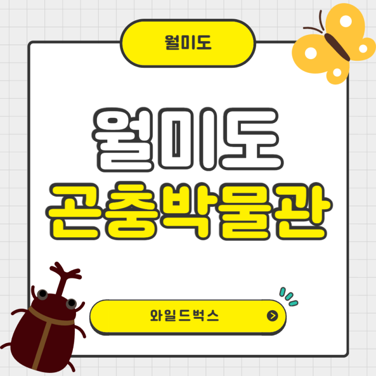  곤충박물관 월미도 와일드벅스 내돈내산