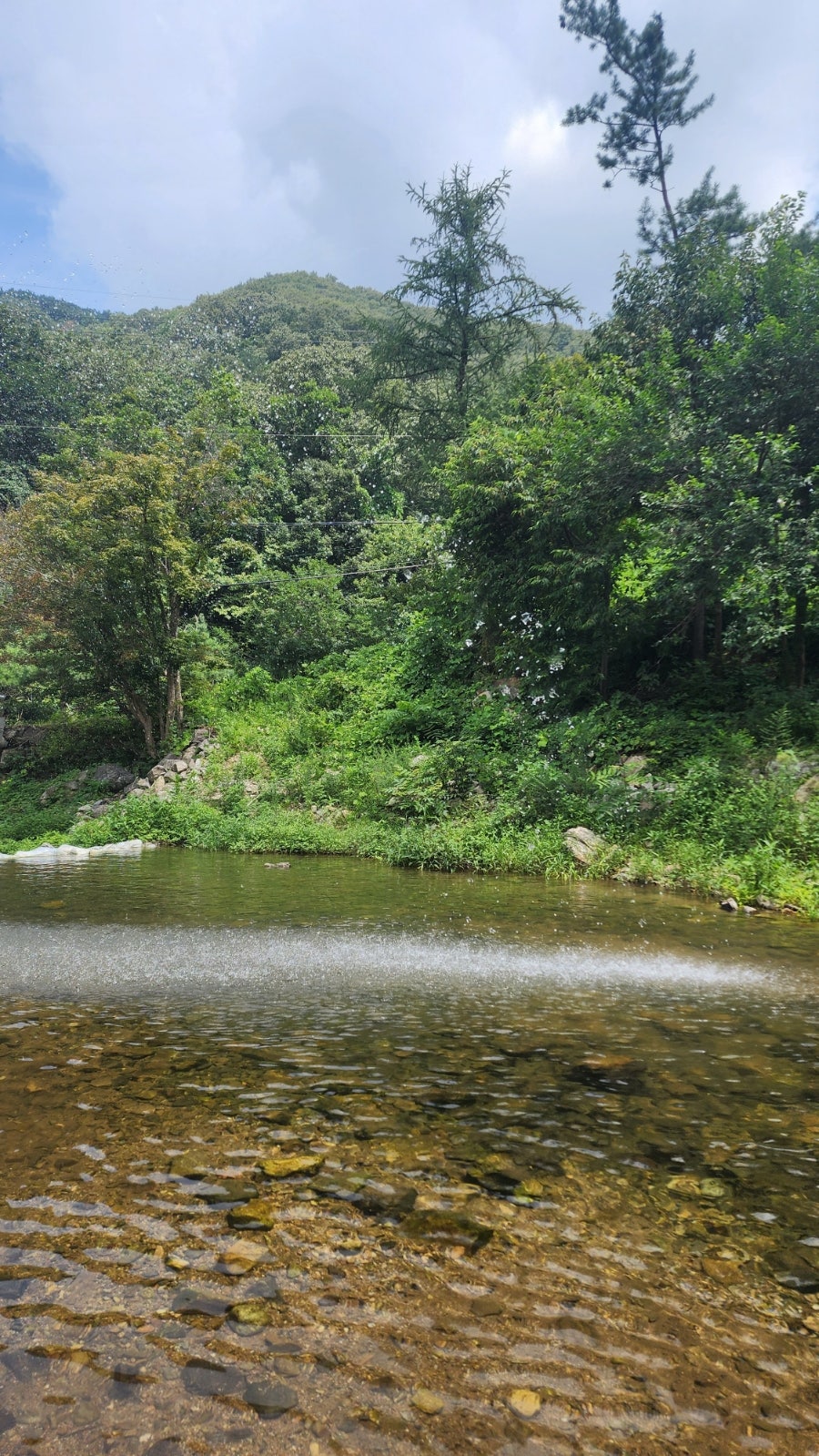청산유수가든 사진 4