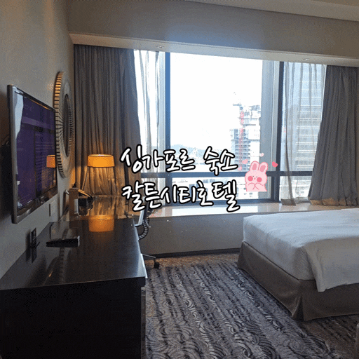  싱가포르 4박6일 여행 6탄 – 칼튼시티호텔 숙박 후기 (위치·시설 포함)