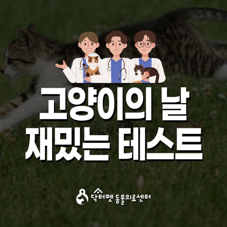  세계 고양이의 날 어떻게 시작되었을까+재미있는 테스트