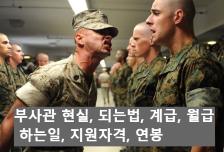  부사관 현실, 되는법, 계급, 월급, 하는일, 지원자격, 연봉