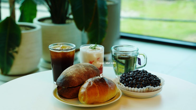  강화도갈만한곳 추천 옥토끼 우주센터근처 맛집 아이랑 나들이하기 좋았던 대형 베이커리카페 두운리