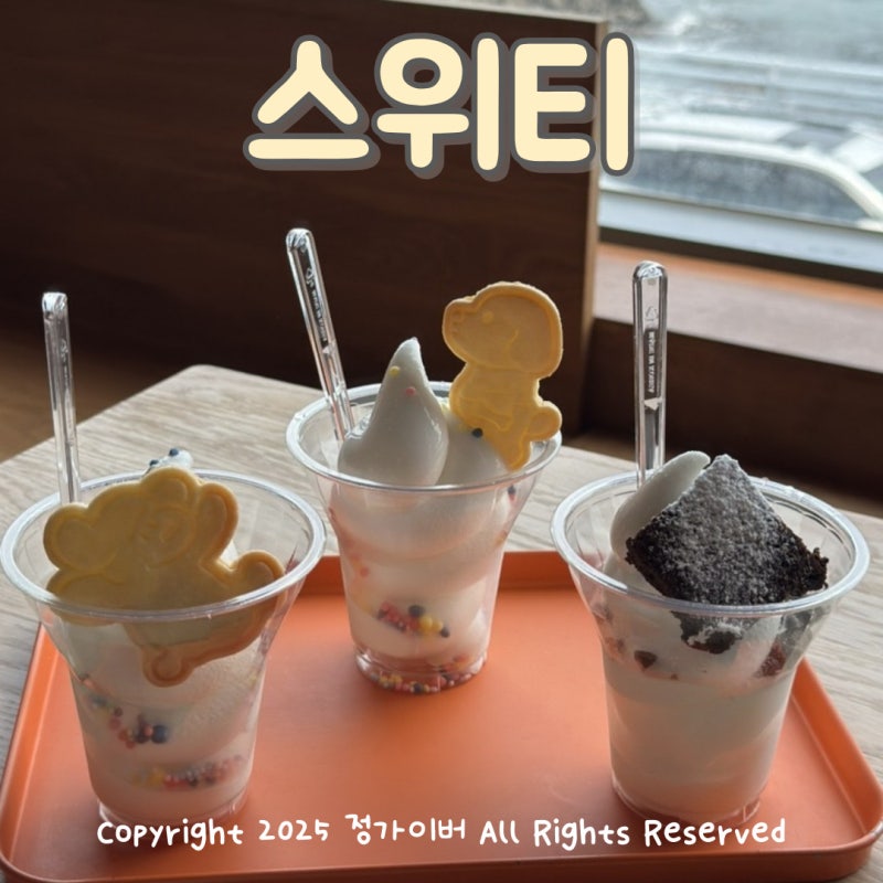 사진 5