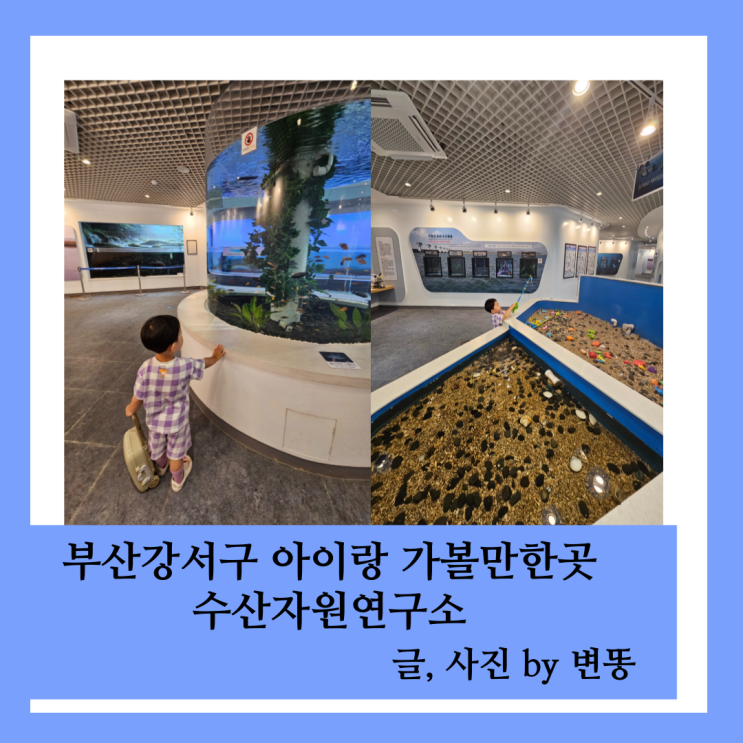  부산 아이랑 가볼만한곳: 수산자원연구소(30분정도 관람하기에 적당해요!)