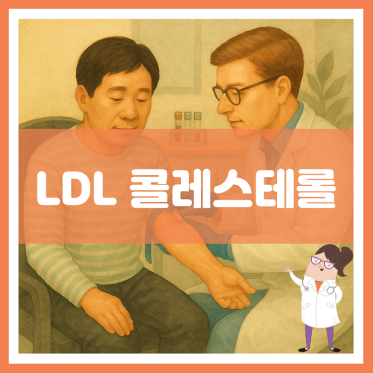  LDL 콜레스테롤 검사 수치 관리