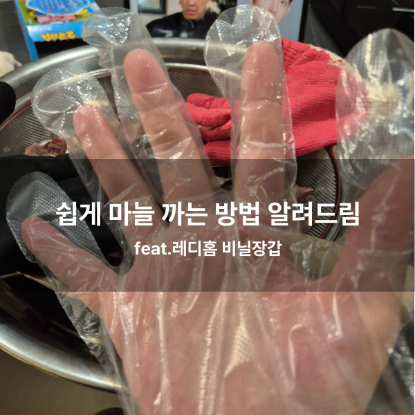  통마늘 쉽게 까는 방법 알려드림 feat.레디홈 비닐장갑