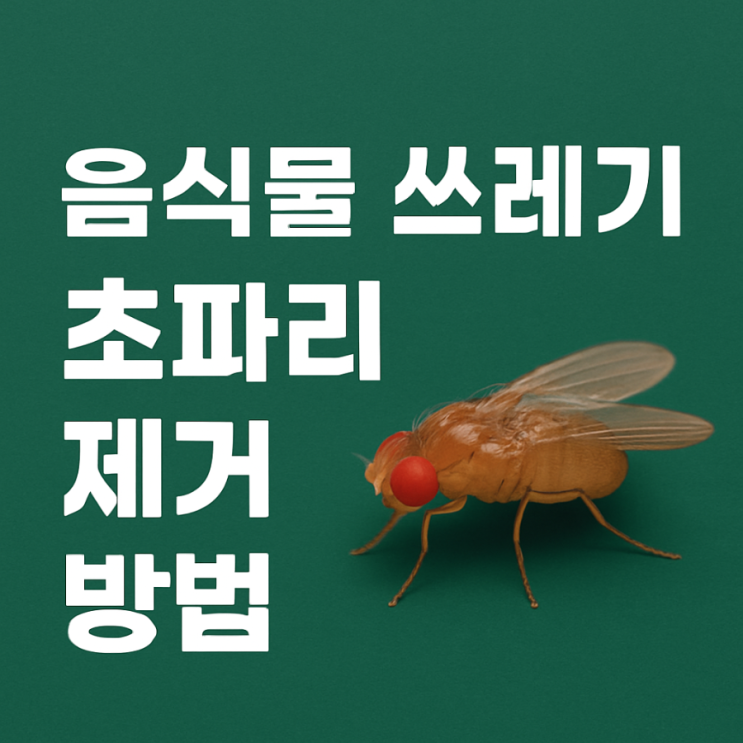  음식물 쓰레기 초파리 제거 방법 총정리 & 음식물 처리기 추천 인기순위 10