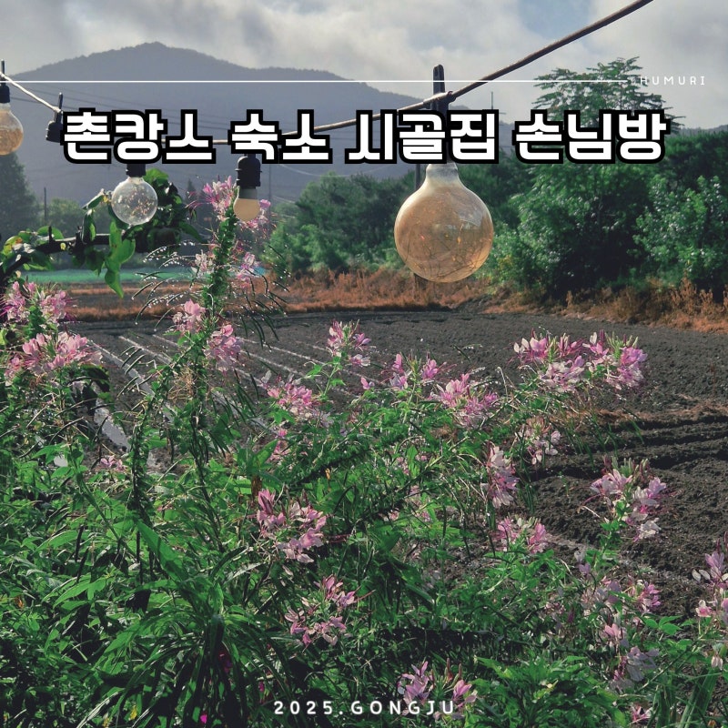 시골집손님방