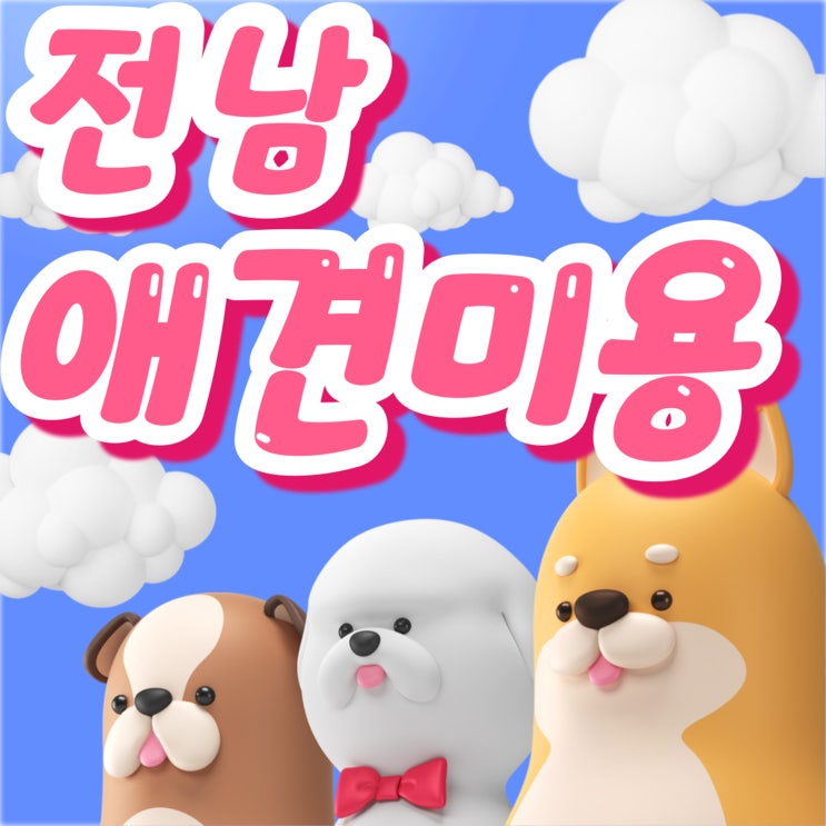  전남애견미용학원 애견미용 전문가로 성장하는 최적의 선택