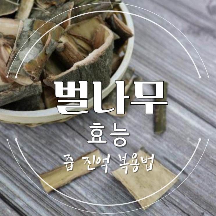 벌나무 효능 복용법 : 즙 진액, 산청목