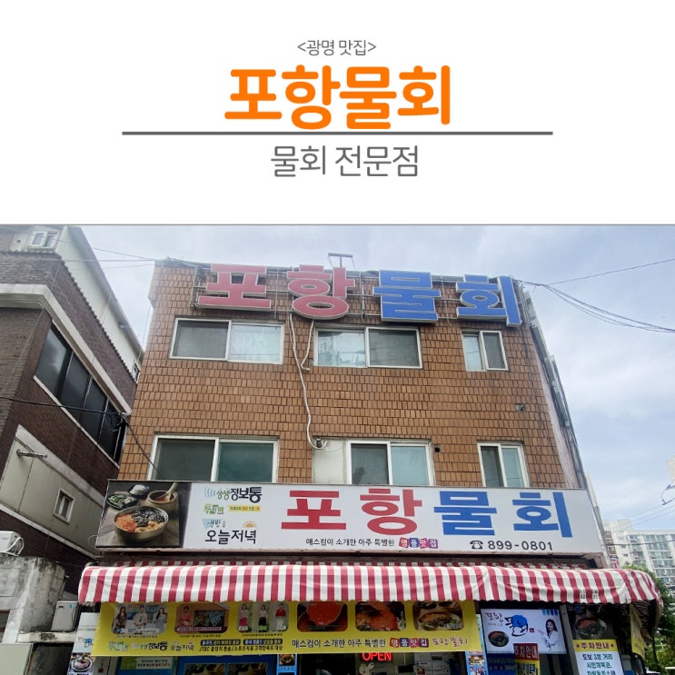 [광명 맛집] "먹어보면 알 수밖에! 안양-광명 친자매 포항물회, 광명에서 진짜 현지의 맛"