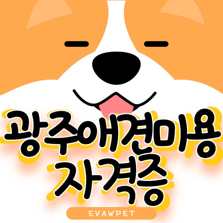  광주애견미용자격증 속성교육으로 취득하자
